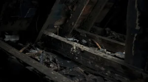 How Attic Moisture Can Silently Damage Your Roof